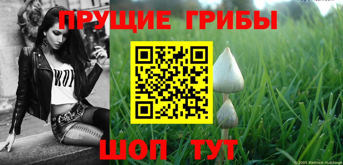 Галлюциногенные грибы GOLDEN TEACHER  Вход с VPN  Галлюциногенные грибы GOLDEN TEACHER  Амурск 